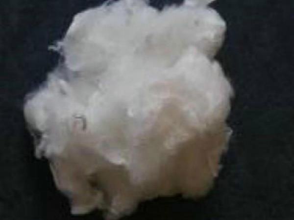 Cotton Fibre